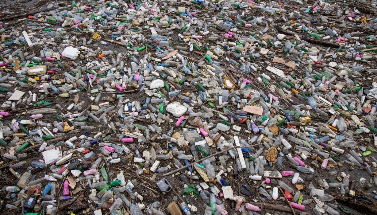 Пластиковые отходы заполонили мир