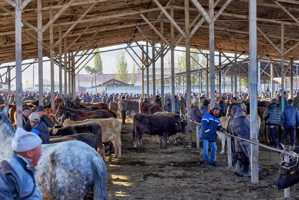 Мясо и молоко на рынках Кыргызстана