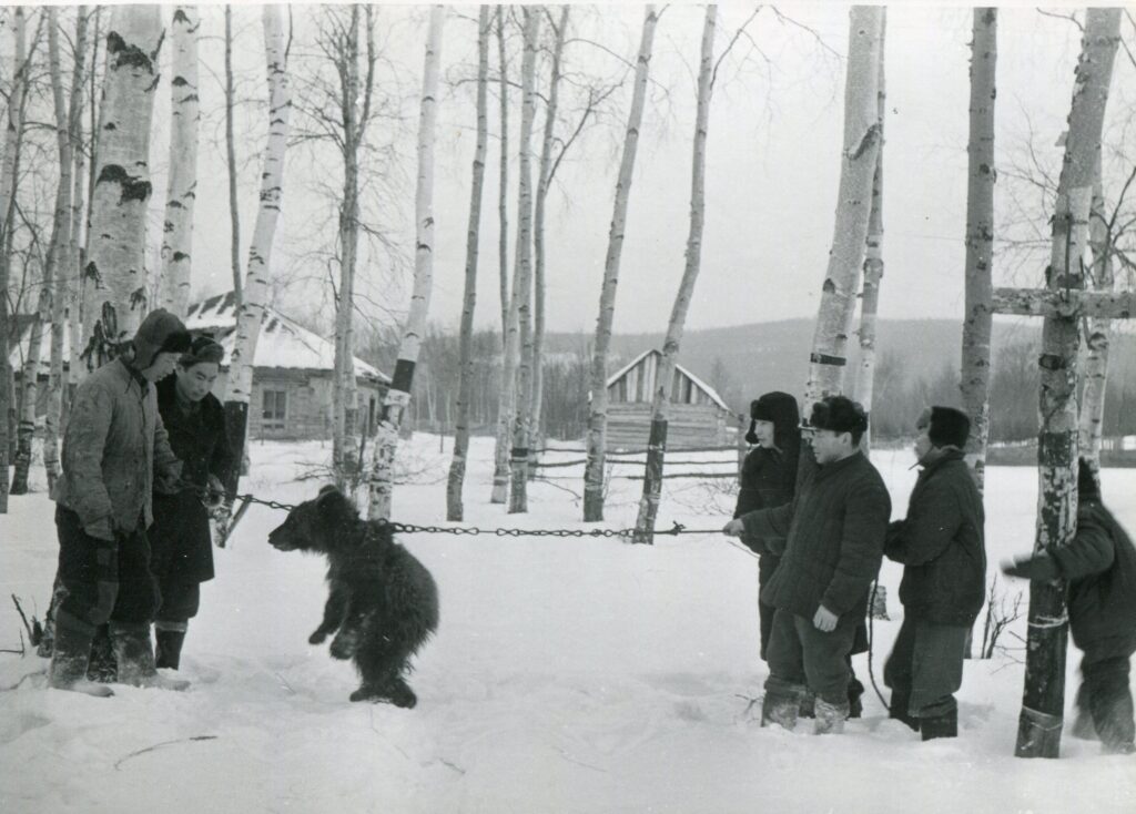 Медвежий праздник. 1960. Научный архив ИЭА РАН