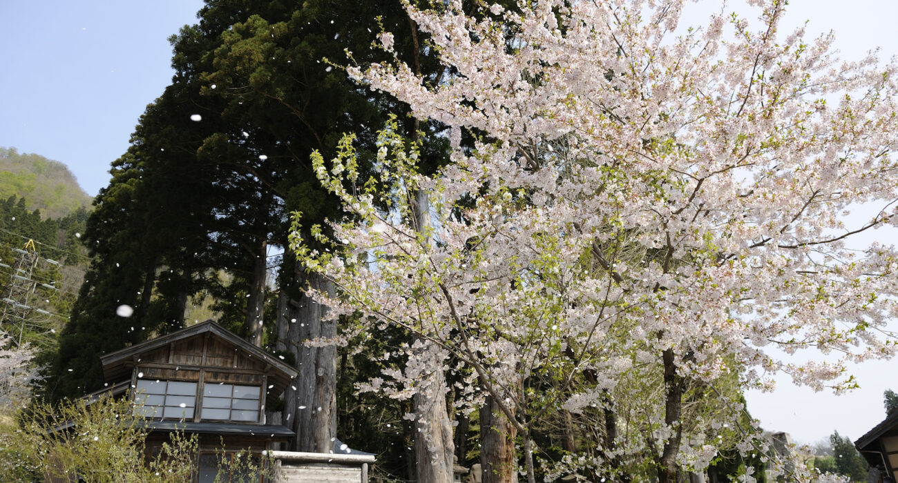 Японская глубинка, или как сохраняется культурное наследие